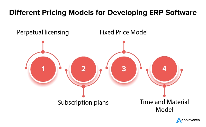 Various Pricing Structures for ERP Software Development